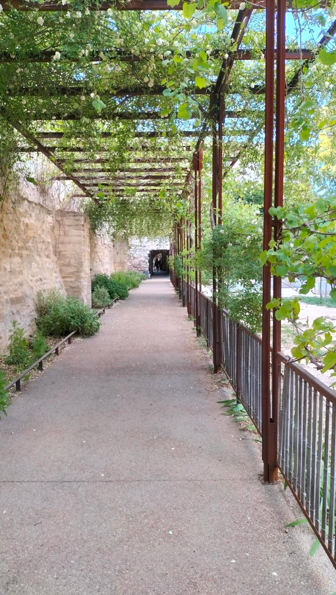 Studio Terrasse, Intra-Muros, Climatise Avec Wifi Avignon Kültér fotó